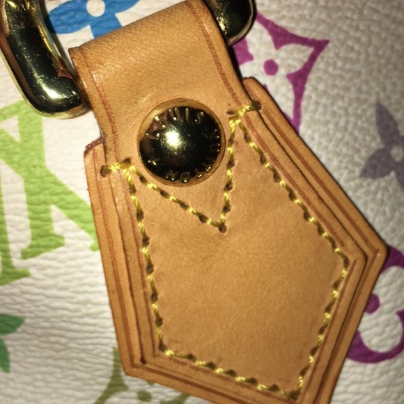 Multicolor Louis Vuitton Bag! - Picture 4 of 8